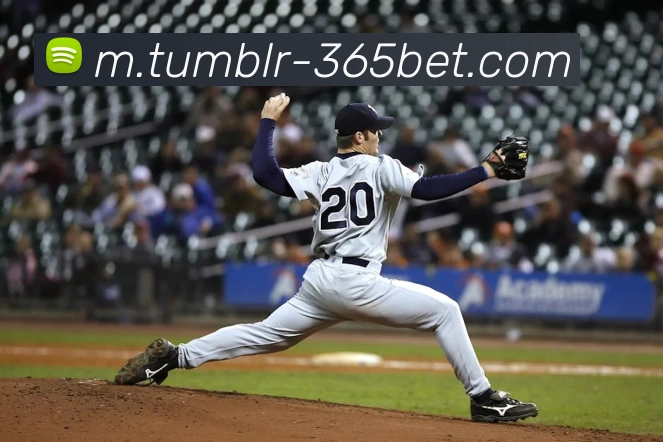 365bet平台生态图